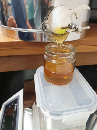Schließlich wird der Honig in Gläser abgefüllt.