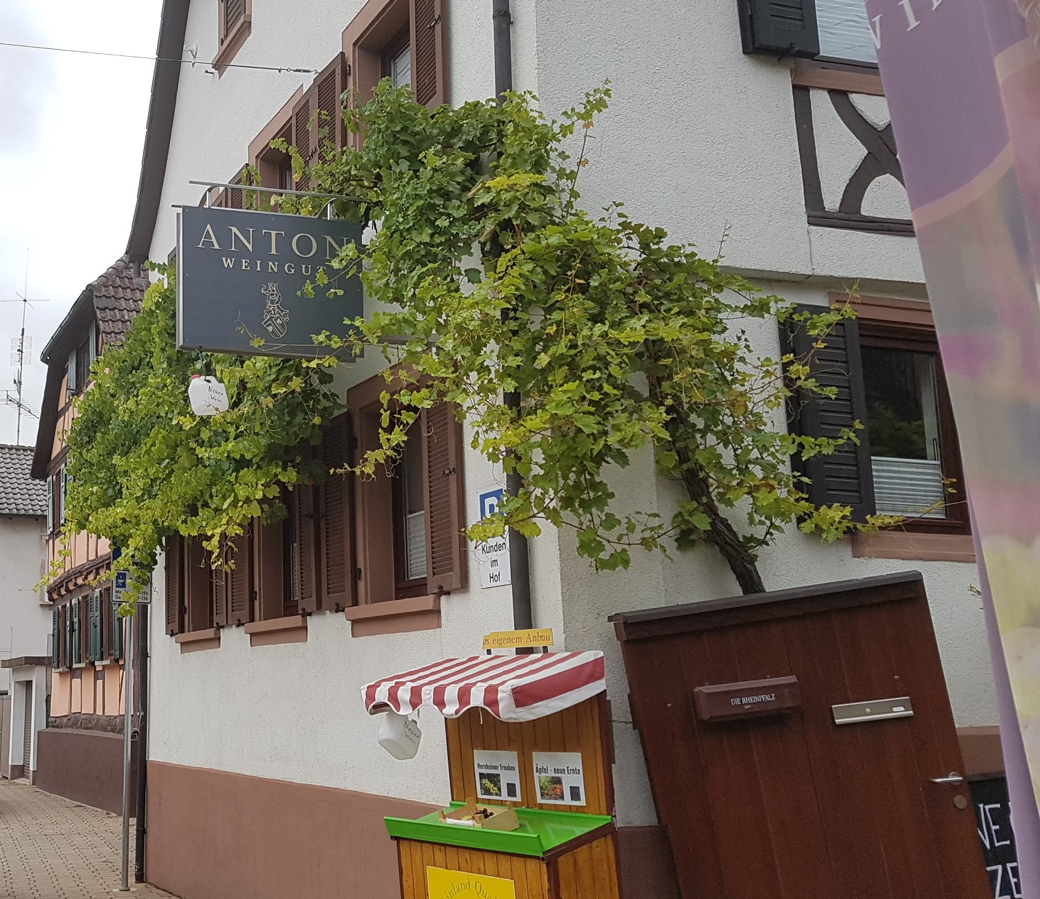 Der Eingang zur Verkaufsraum des Weingut Antons.