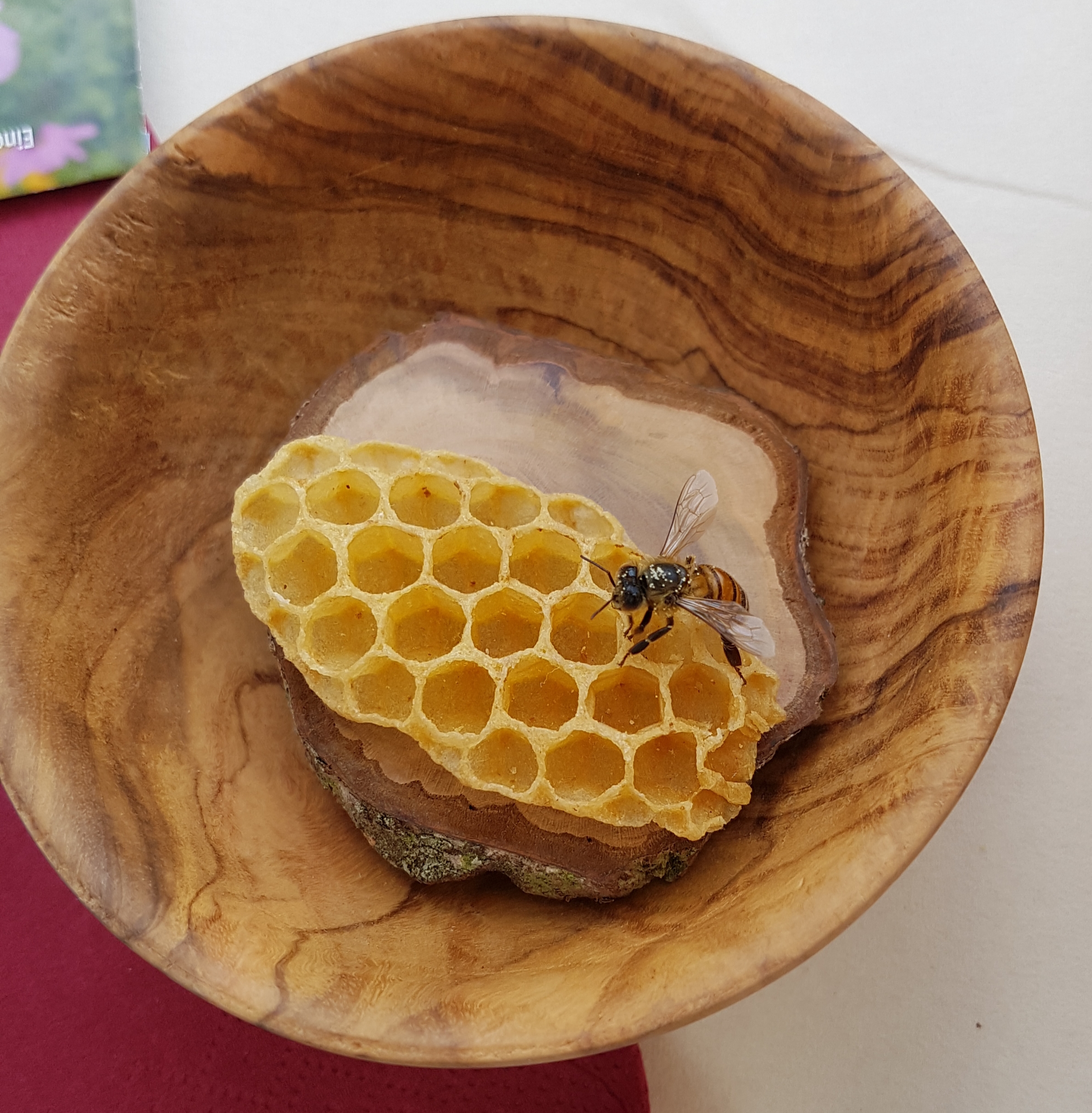 Eine Biene sitzt auf einem kleinen Wachsstück in einer kleinen Holzschale.